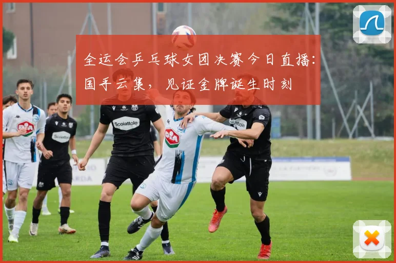 全运会乒乓球女团决赛今日直播：国手云集，见证金牌诞生时刻