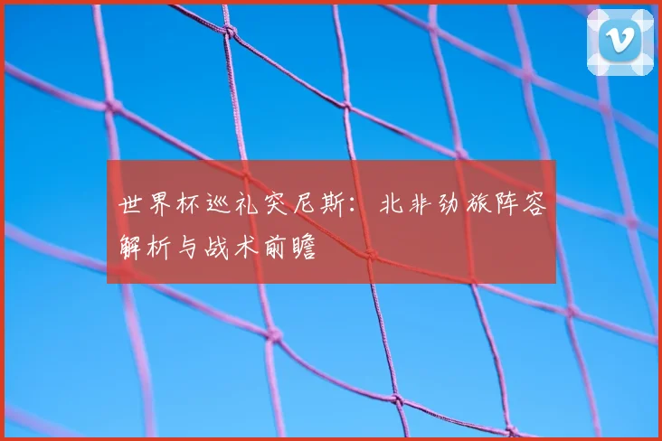 世界杯巡礼突尼斯：北非劲旅阵容解析与战术前瞻