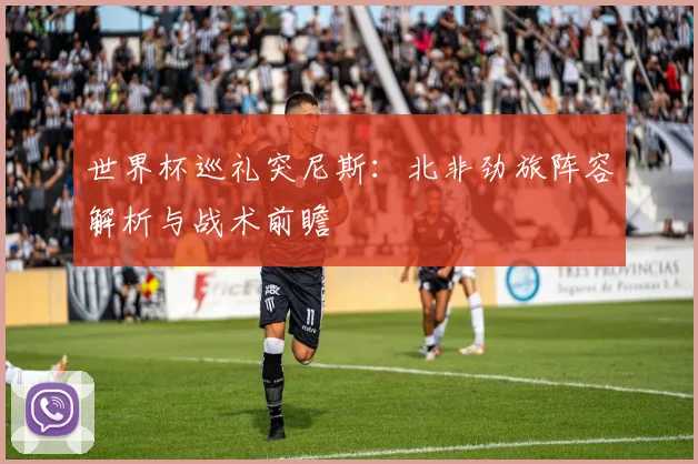 世界杯巡礼突尼斯：北非劲旅阵容解析与战术前瞻