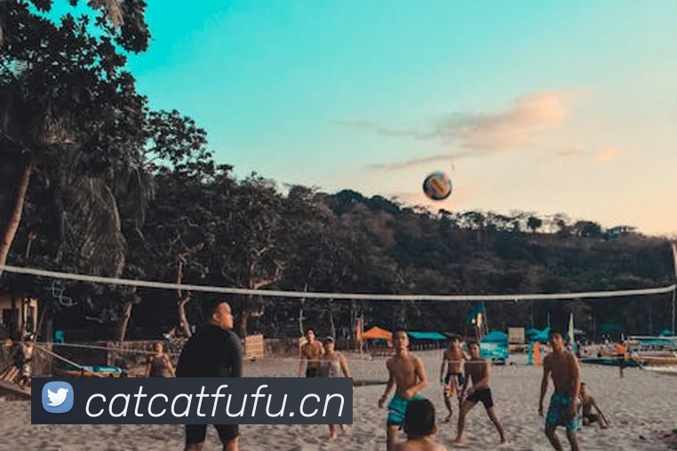 9游会j9官网登录入口平台生态图