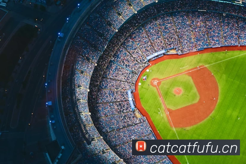 9游会j9官网登录入口APP 封面图